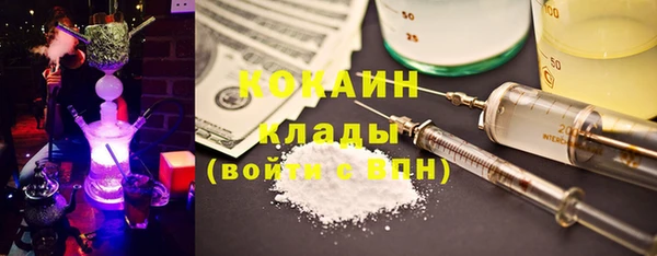 индика Няндома