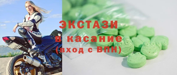 индика Няндома