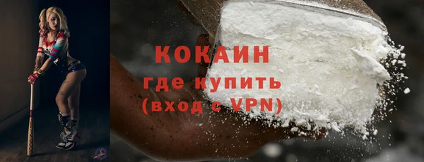индика Няндома
