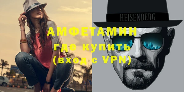 индика Няндома