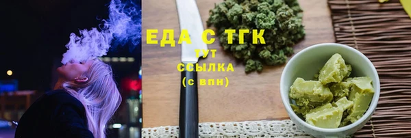 индика Няндома