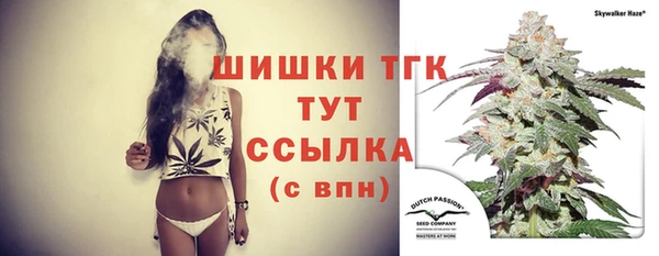 индика Няндома