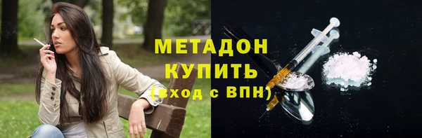 индика Няндома