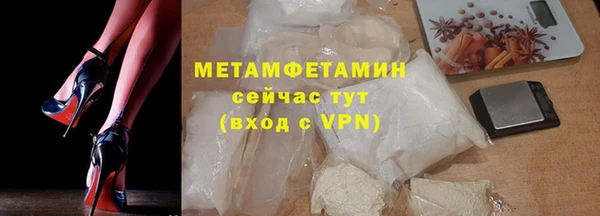 индика Няндома
