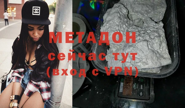 индика Няндома