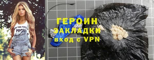 индика Няндома