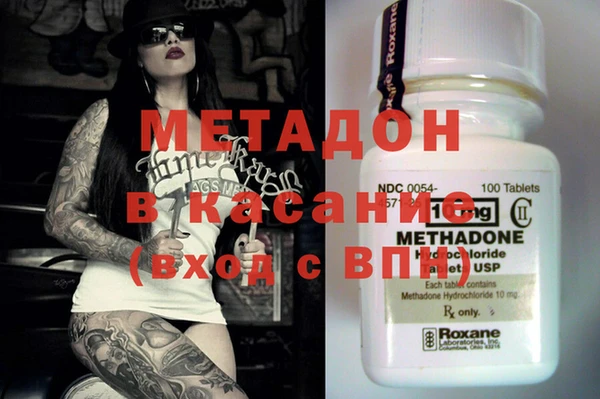 индика Няндома