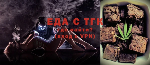 индика Няндома
