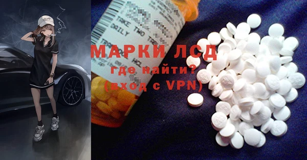 индика Няндома