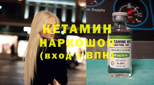 индика Няндома