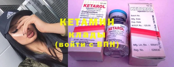 индика Няндома