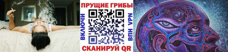 мориарти формула  Усолье-Сибирское  blacksprut ссылка  Псилоцибиновые грибы Psilocybe  наркота 