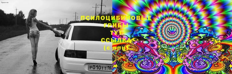 Псилоцибиновые грибы Magic Shrooms Усолье-Сибирское